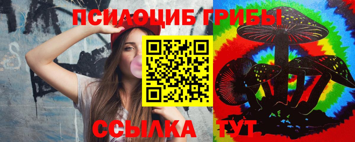 Псилоцибиновые грибы GOLDEN TEACHER  Вход с VPN  Пушкино  даркнет сайт  Псилоцибиновые грибы мухоморы 